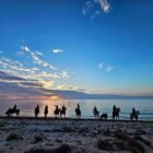 Balade à cheval à Djerba