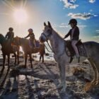 Balade à cheval à Djerba